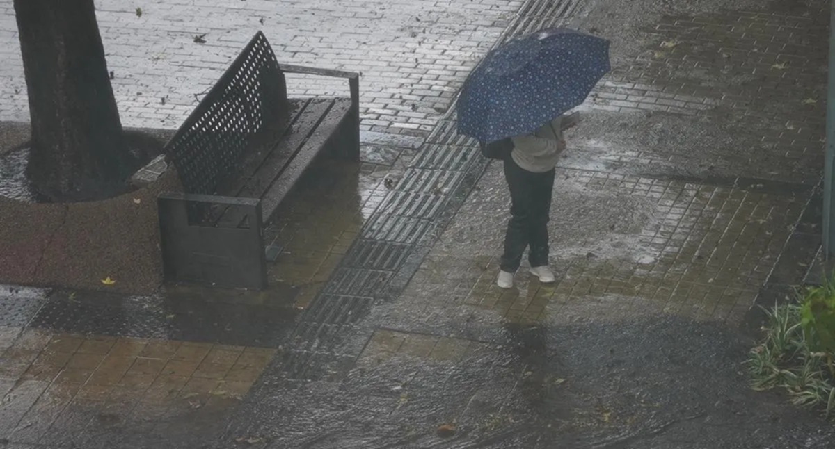 Imagen noticia seccion