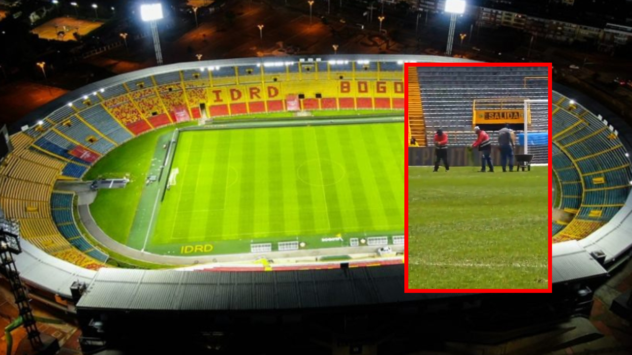 Estado grama Estadio El Campín: Video denuncia supuesto engaño en mantenimiento
