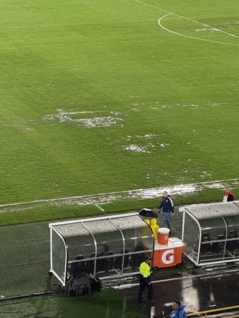 Cancha estadio El Campín / Pulzo
