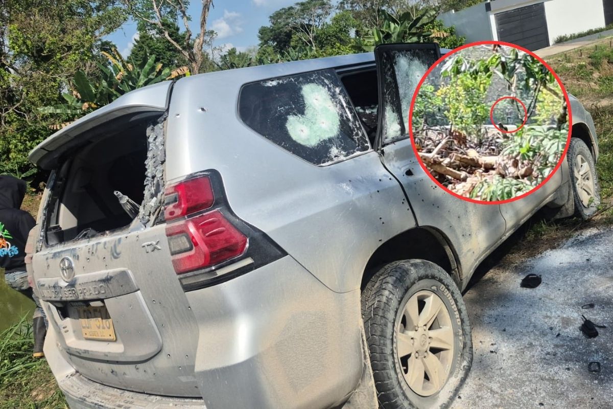 Imagen noticia seccion