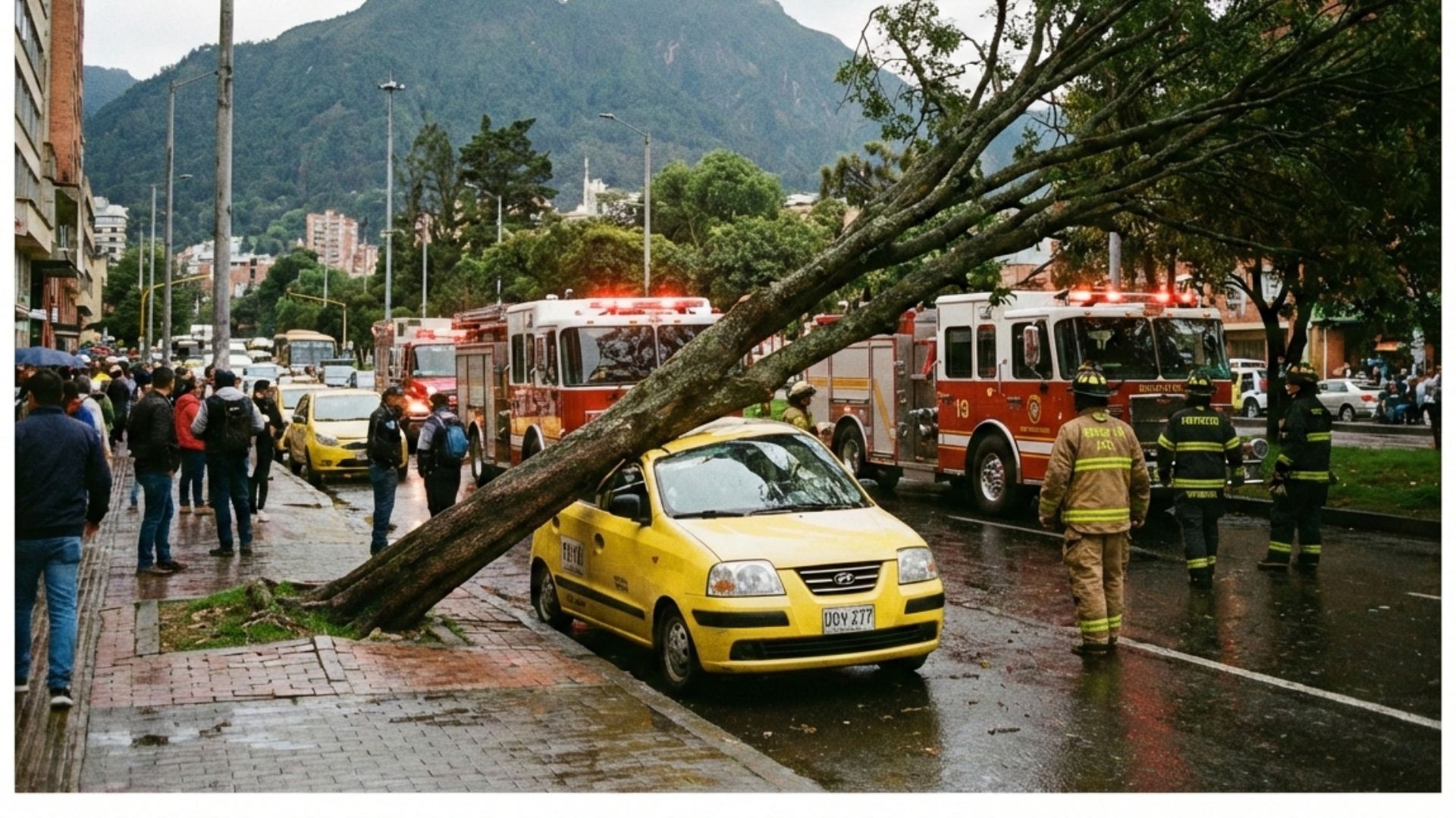 Imagen noticia seccion