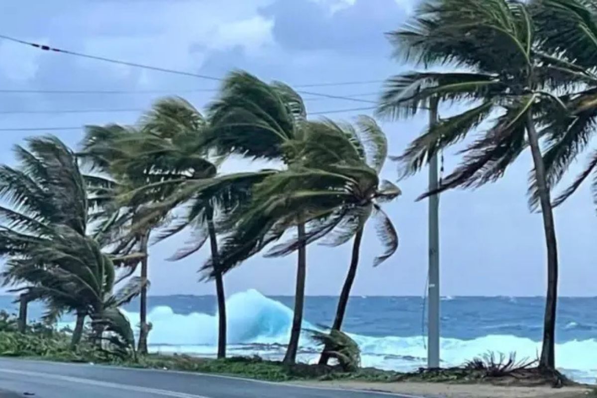 Imagen noticia seccion