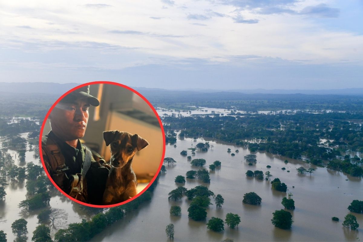 Soldado del Ejército adoptó a un perro que estaba en medio de las inundaciones de Montería.