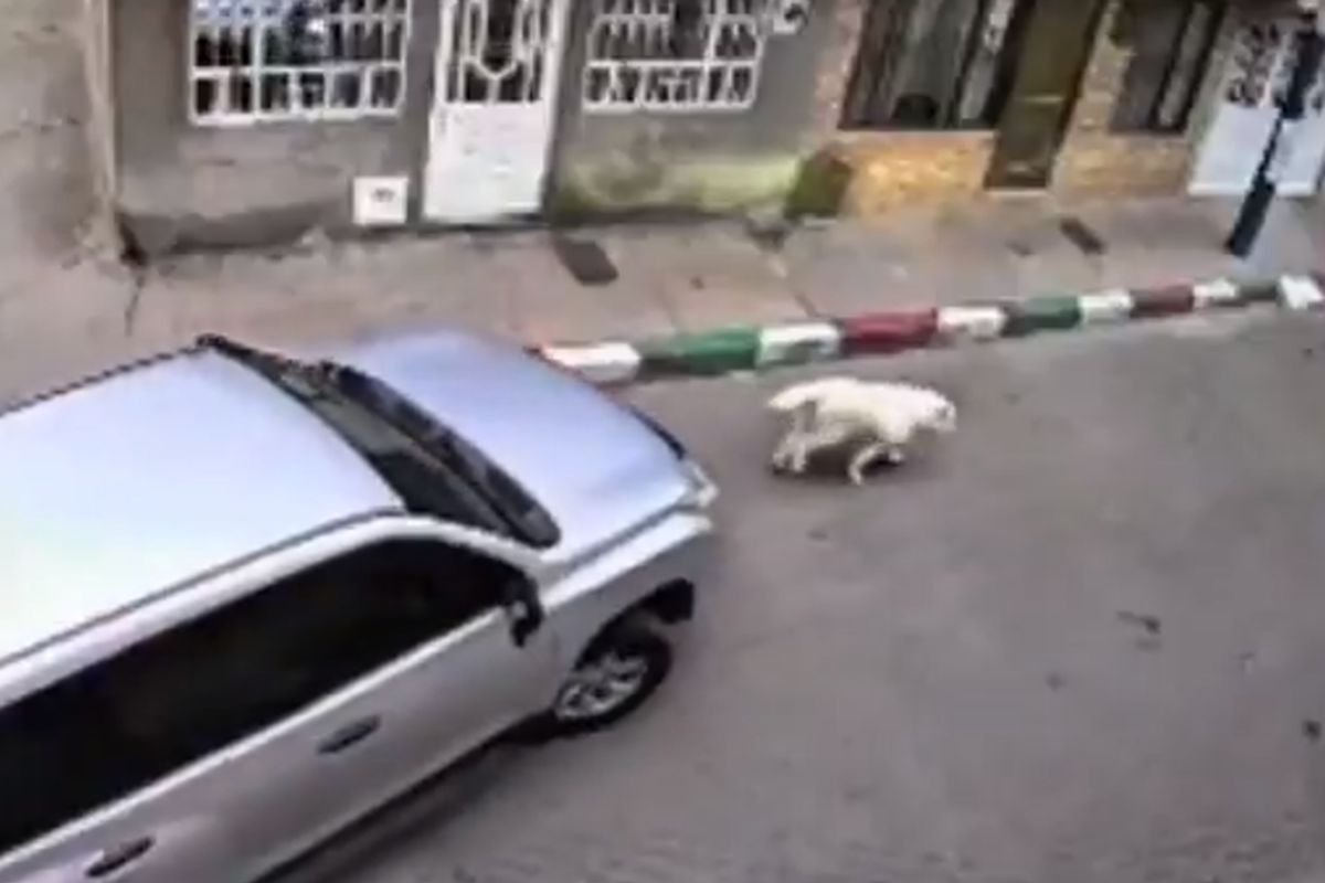 Imagen noticia seccion