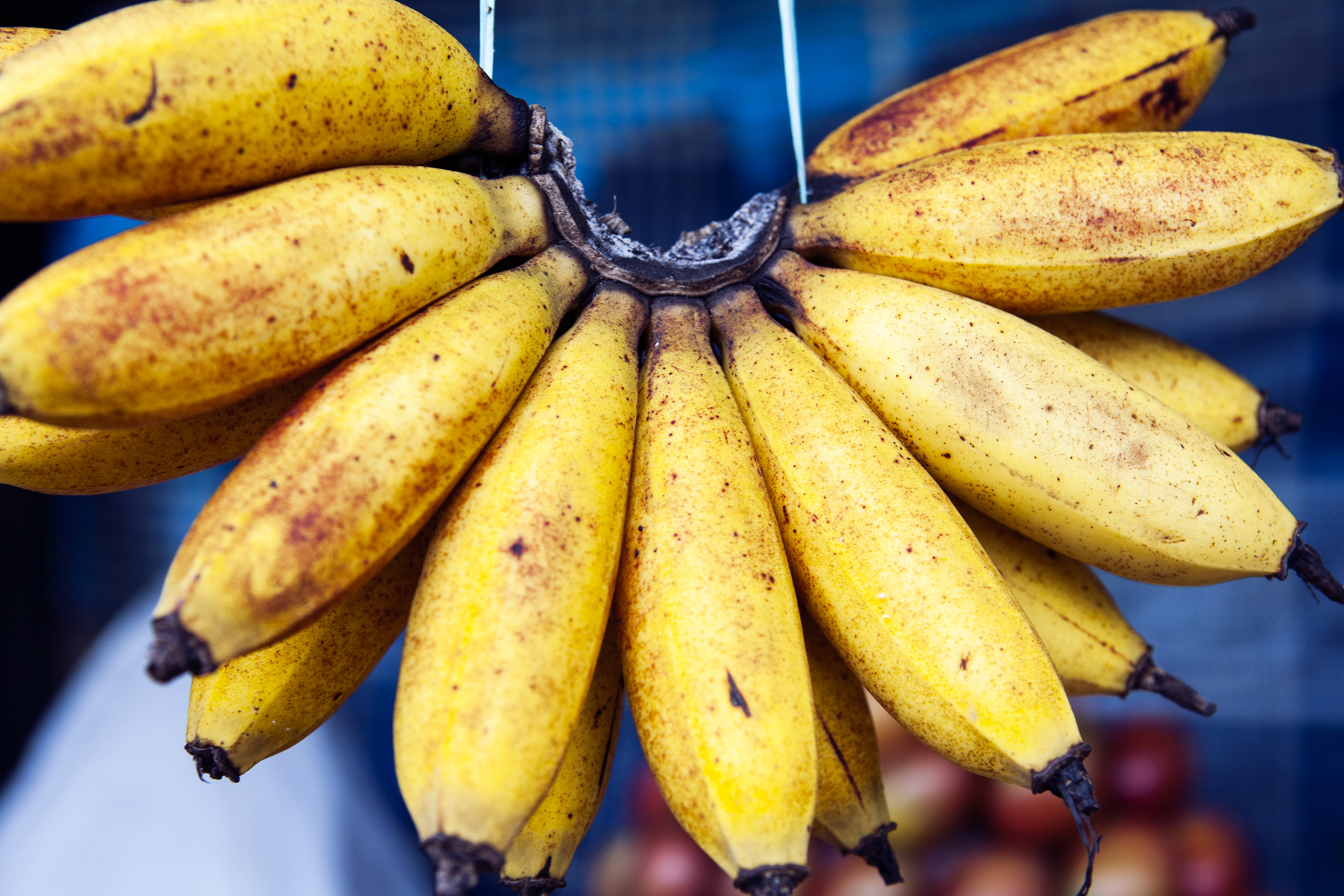 ¿Por qué hay que colgar los bananos truco infalible para que duren más