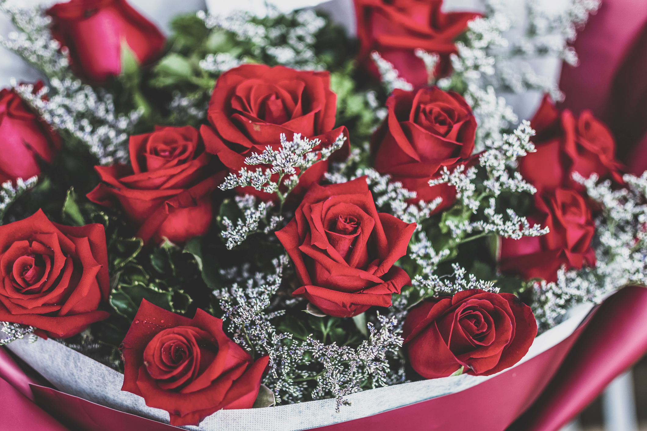 Imagen noticia seccion