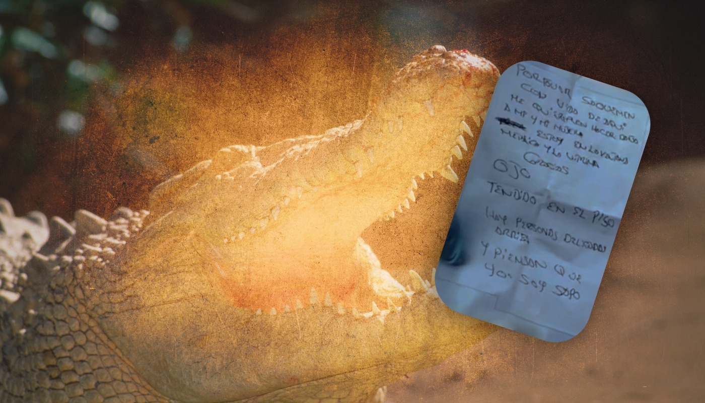 Imagen noticia seccion