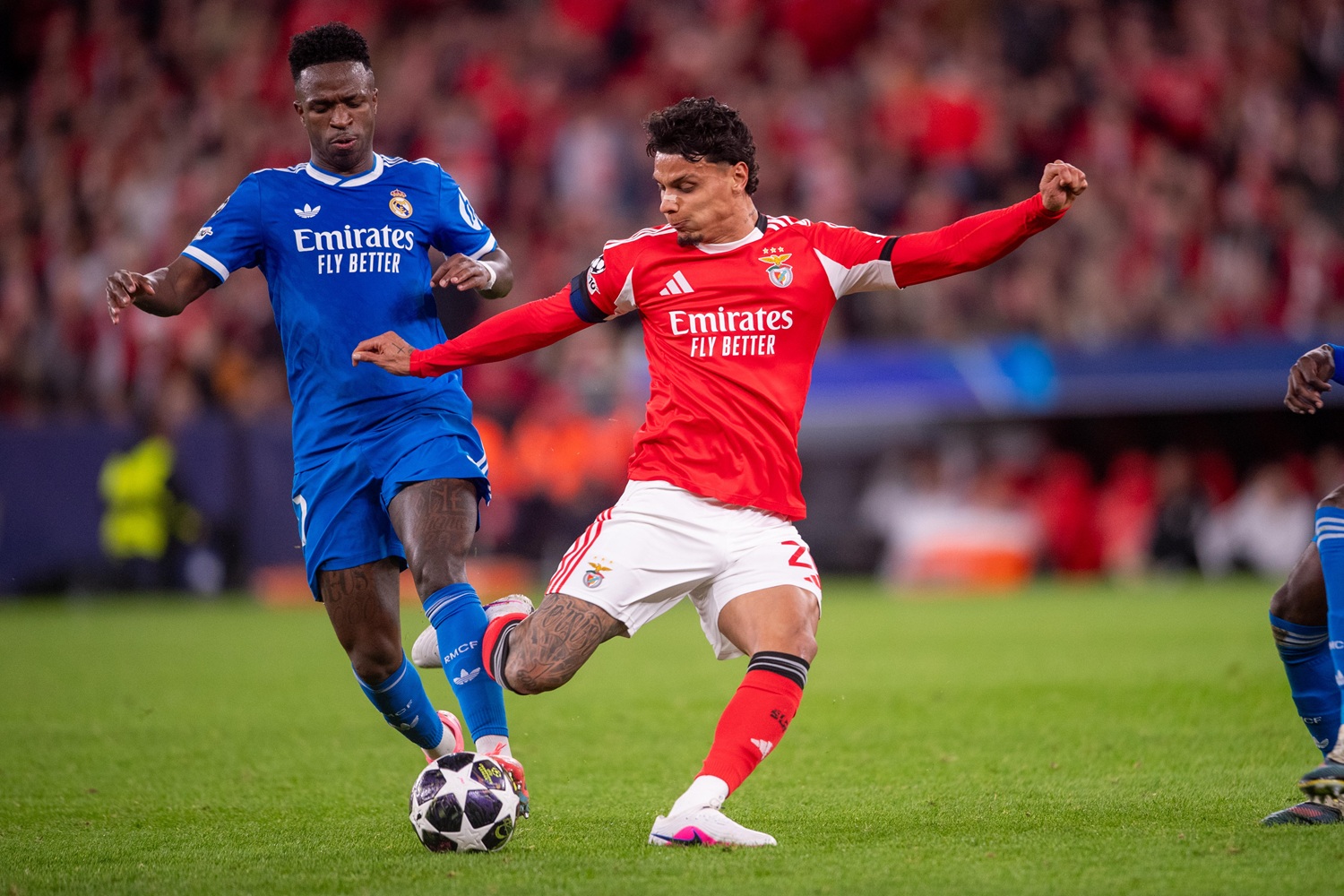 Imagen noticia seccion