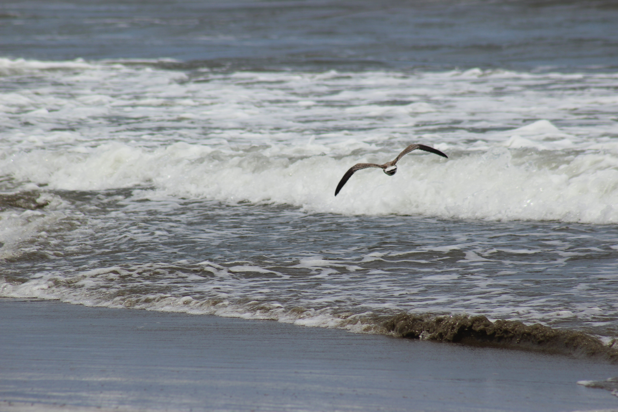 Imagen noticia seccion