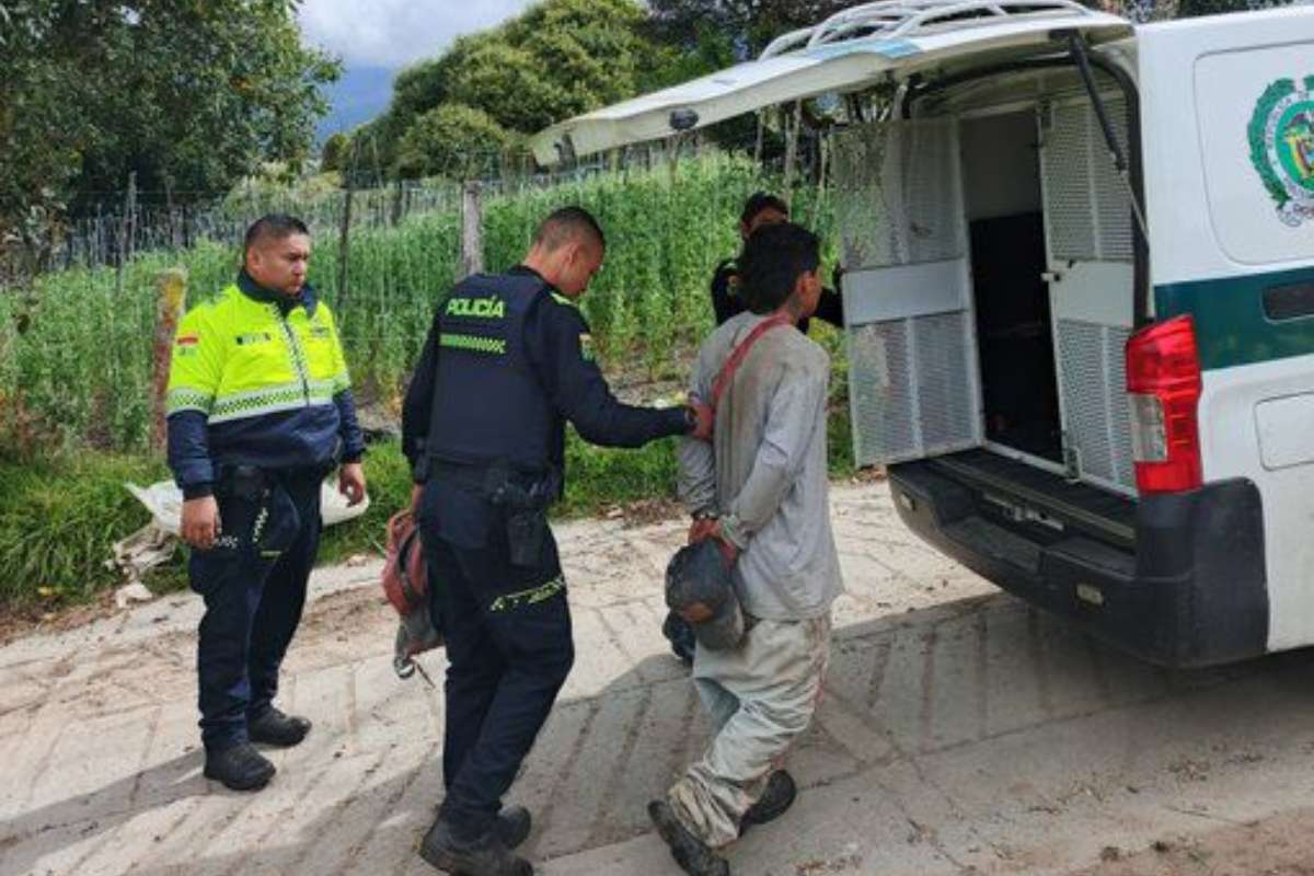 Cómo denunciar una urbanización ilegal en Bogotá: operativo en Usme deja alertas