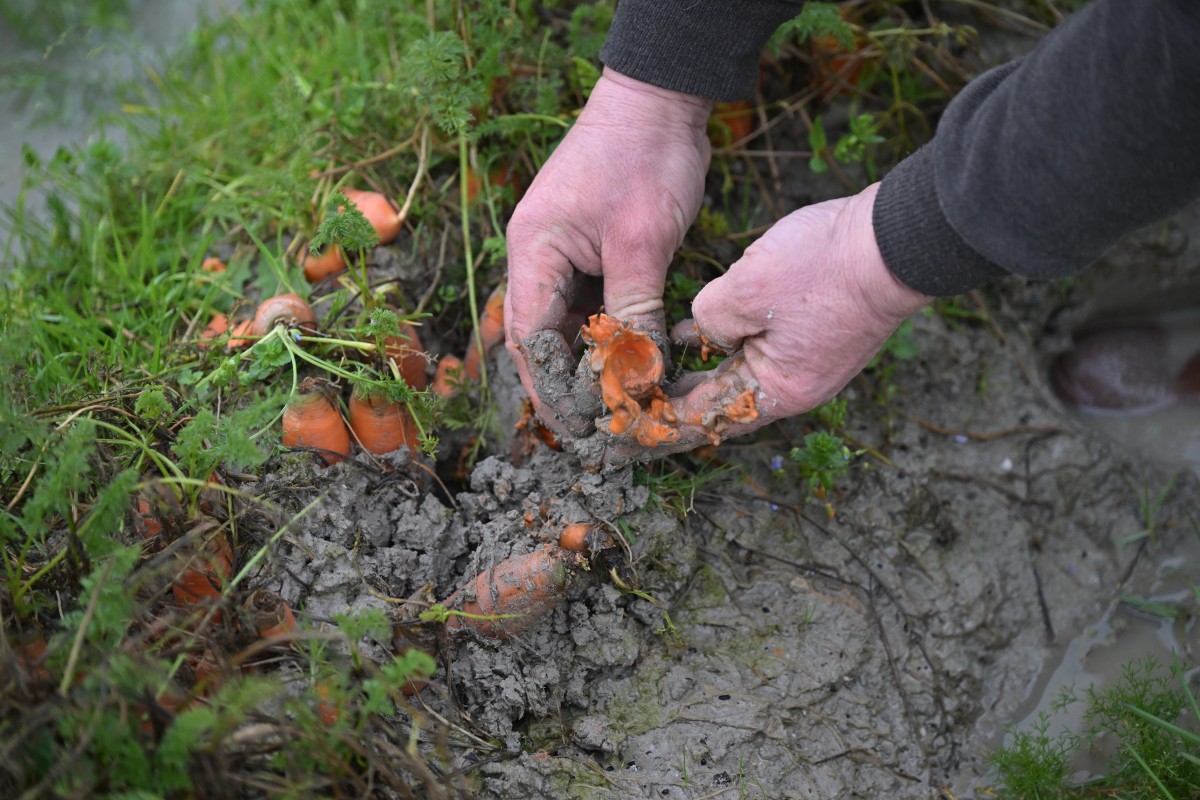 Imagen noticia seccion