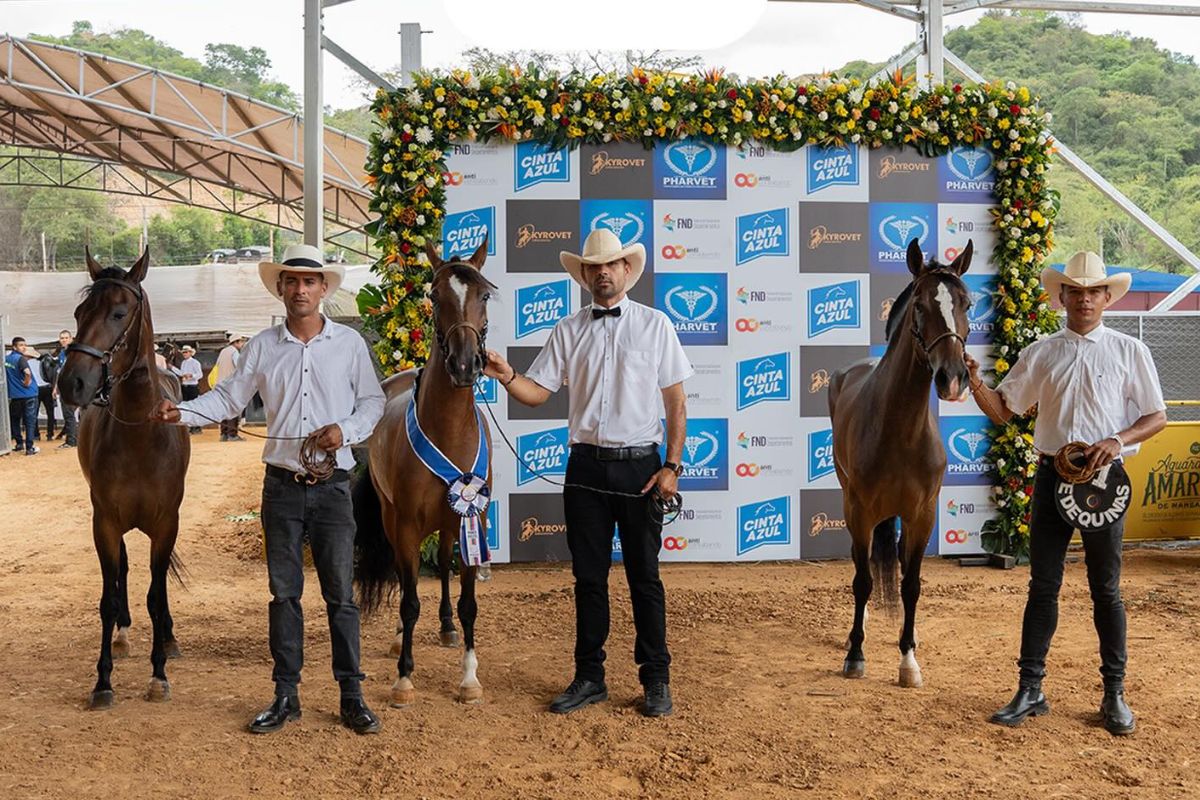 Imagen noticia seccion