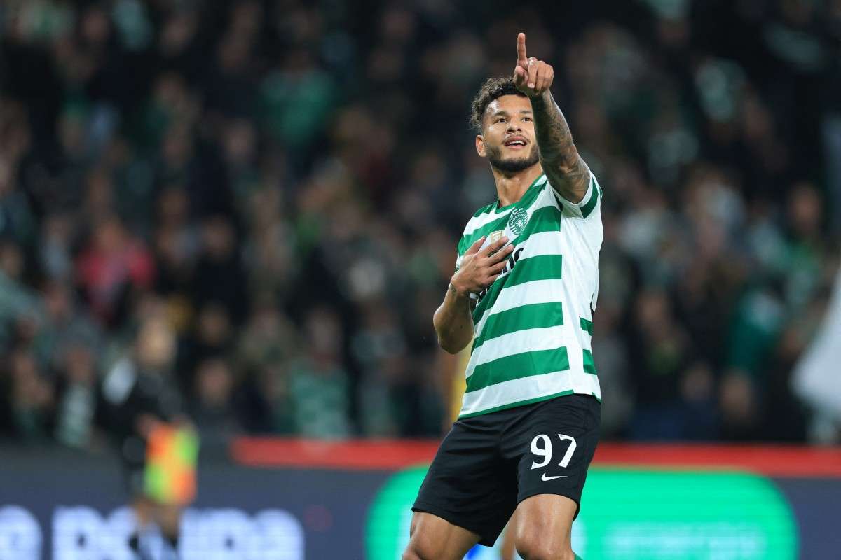 Imagen noticia seccion