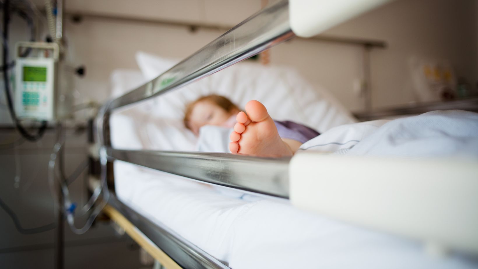 Imagen noticia seccion