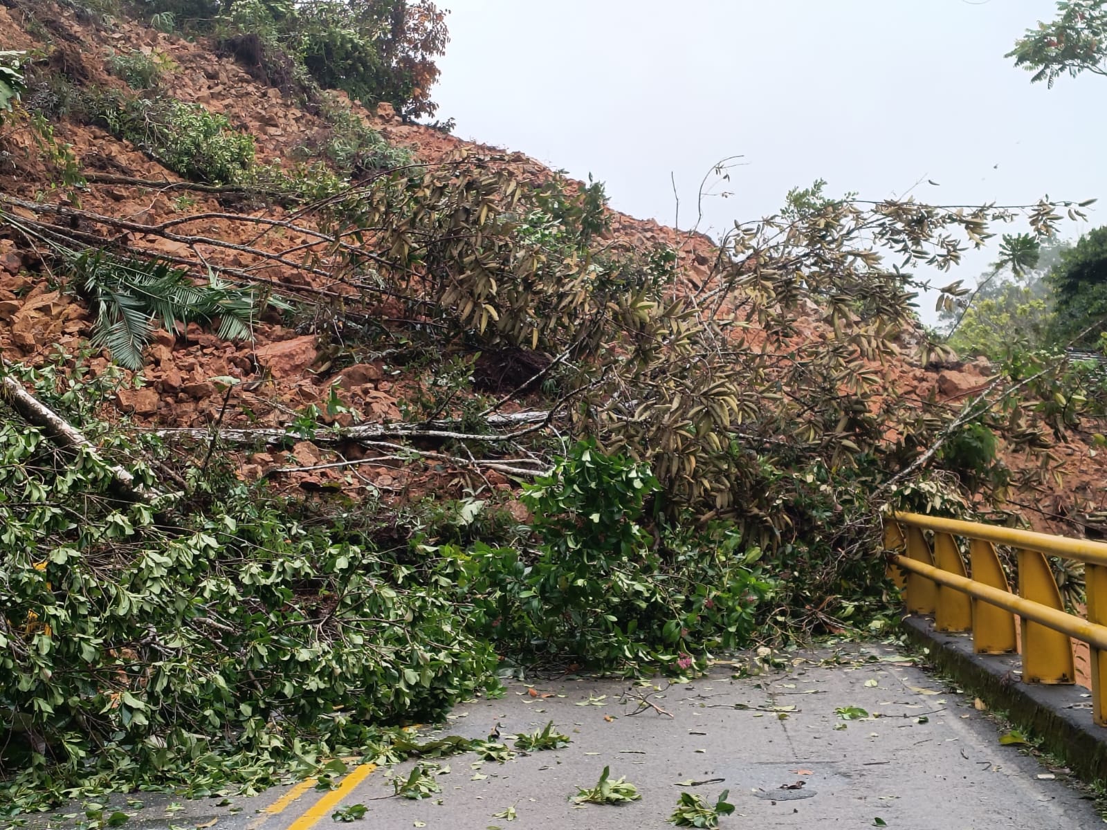 Imagen noticia seccion