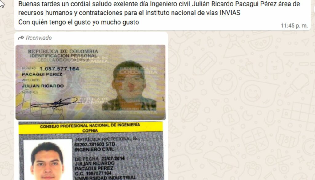 Pantallazo estafa / Cortesía