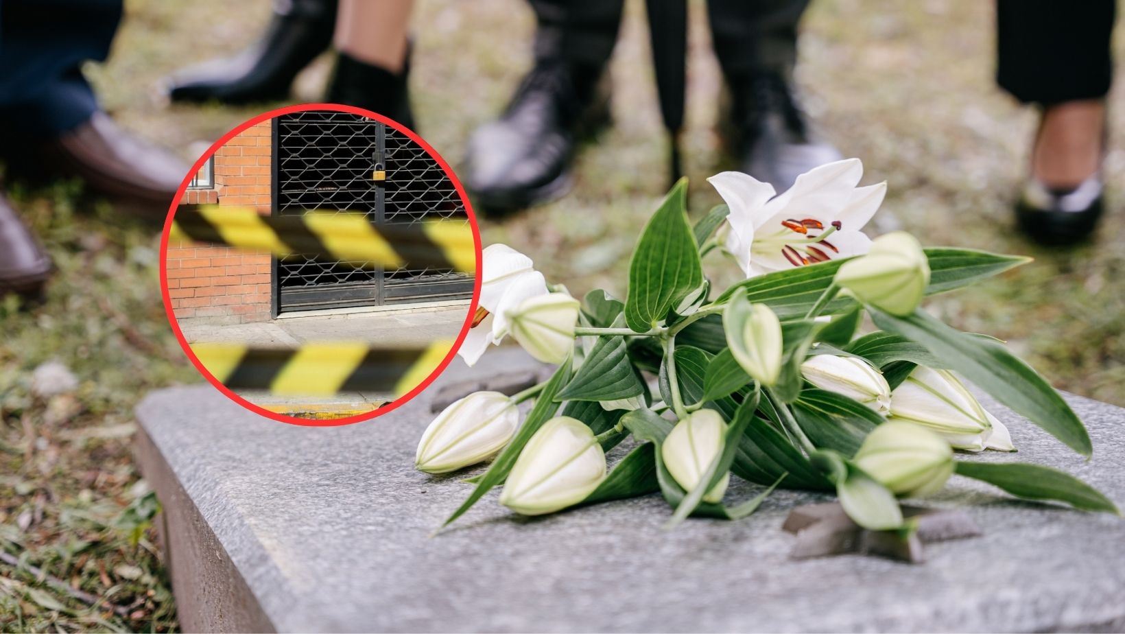 Imagen noticia seccion