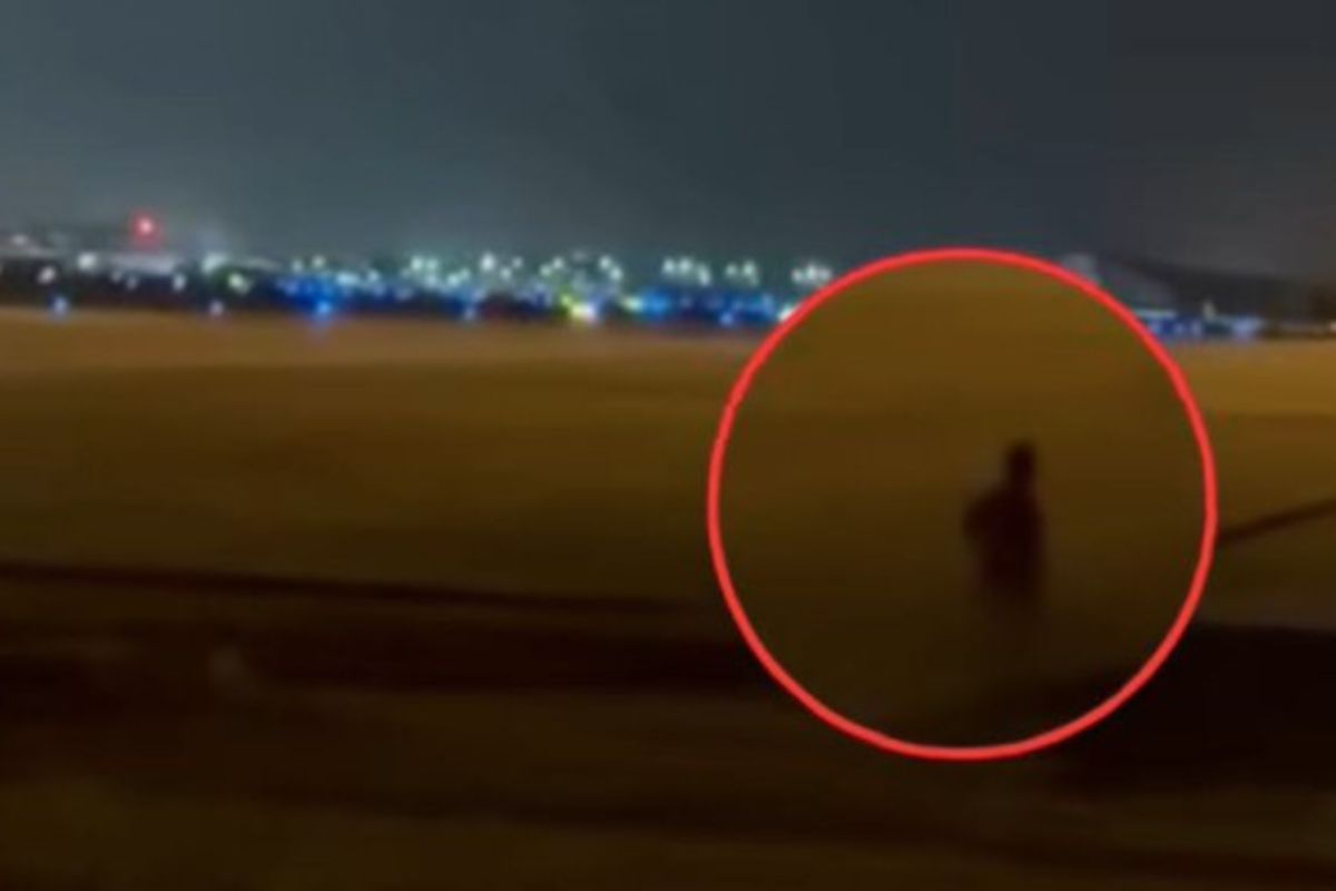 Imagen noticia seccion