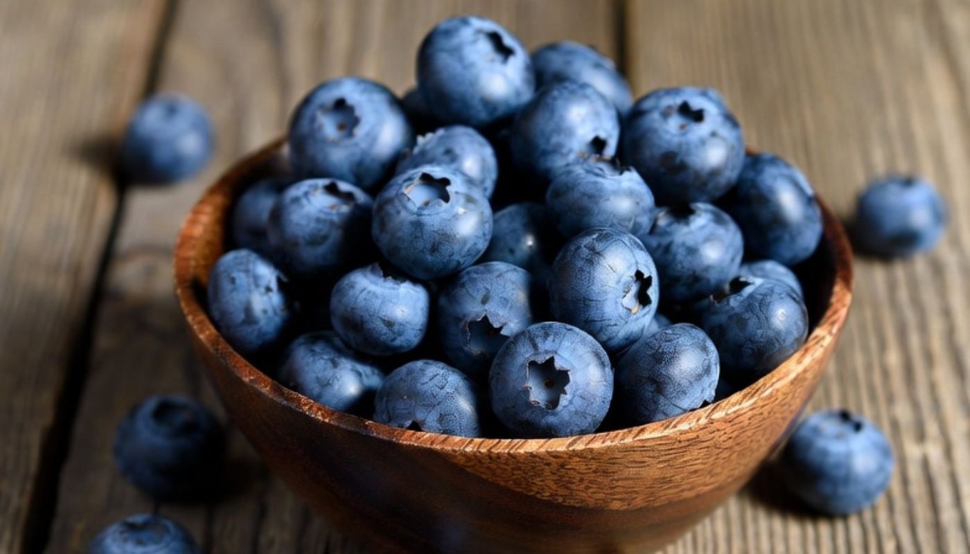 Imagen noticia seccion