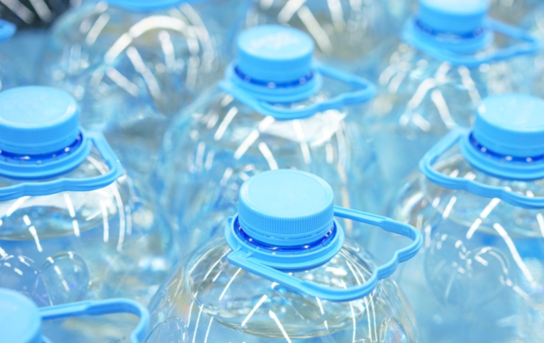 Imagen noticia seccion