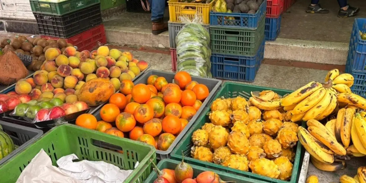 Imagen noticia seccion