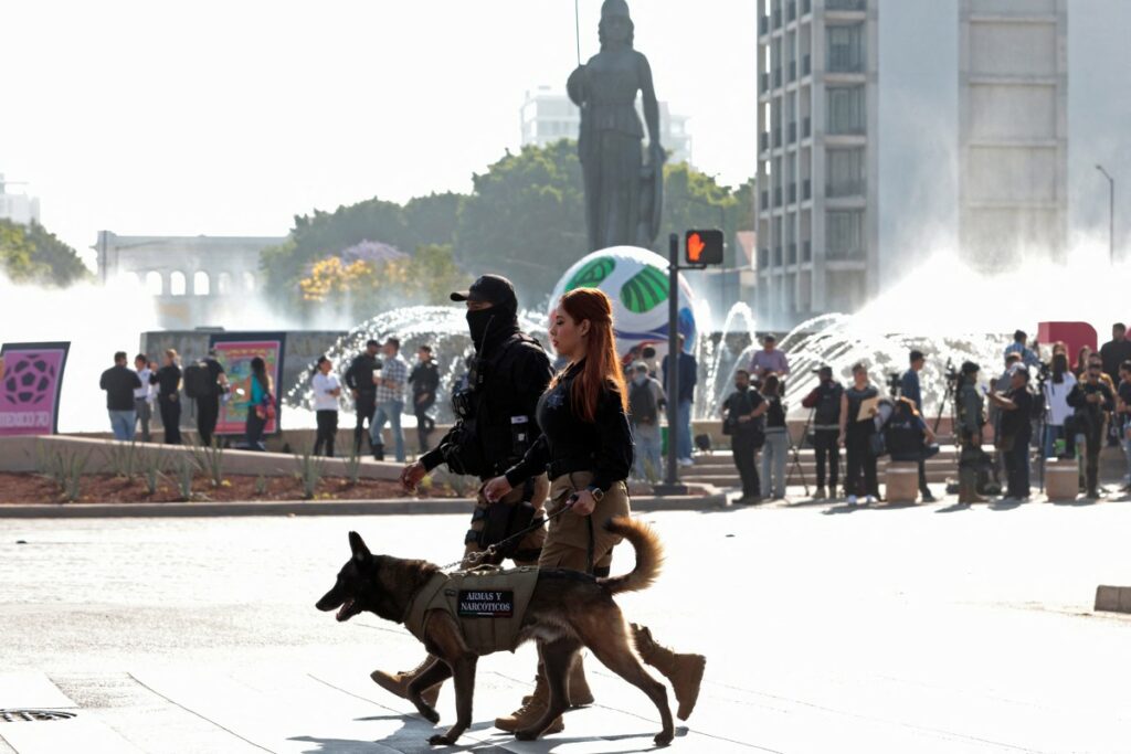 Policía en México / AFP