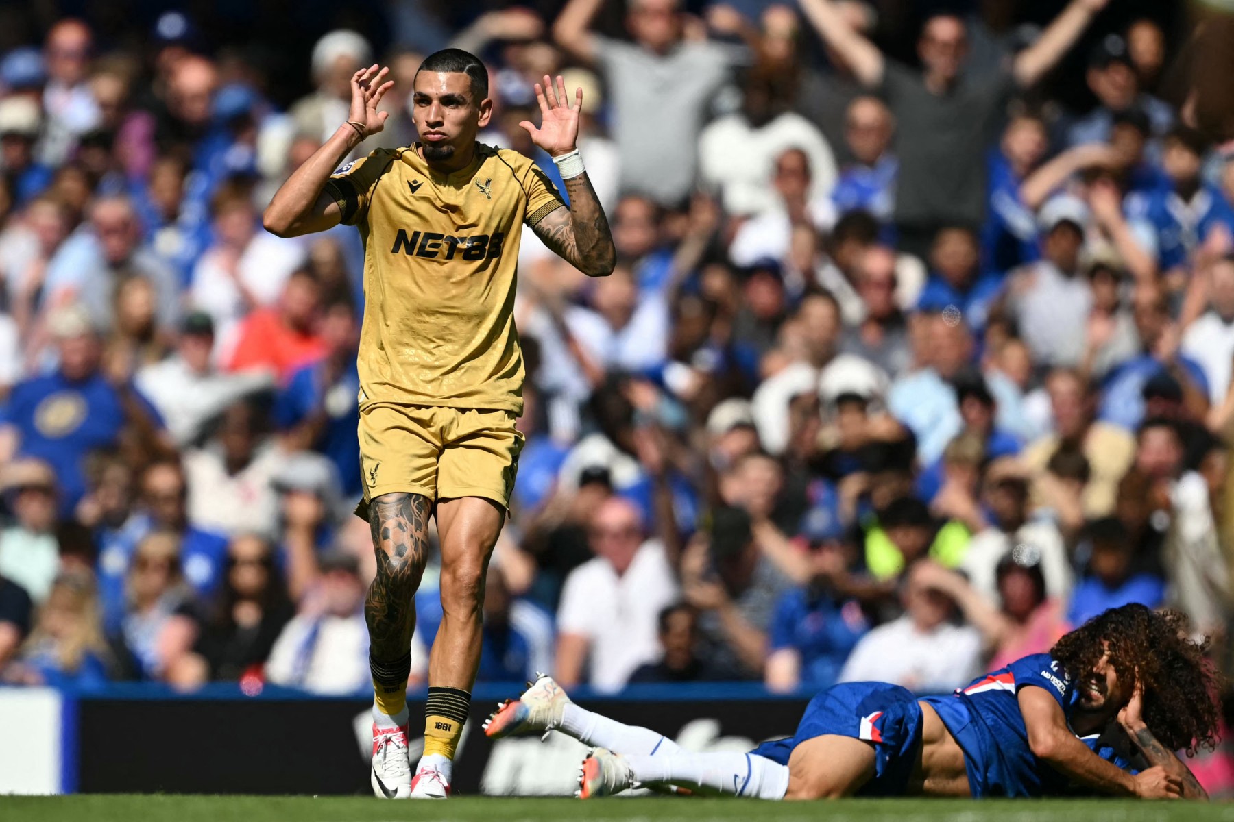 Imagen noticia seccion