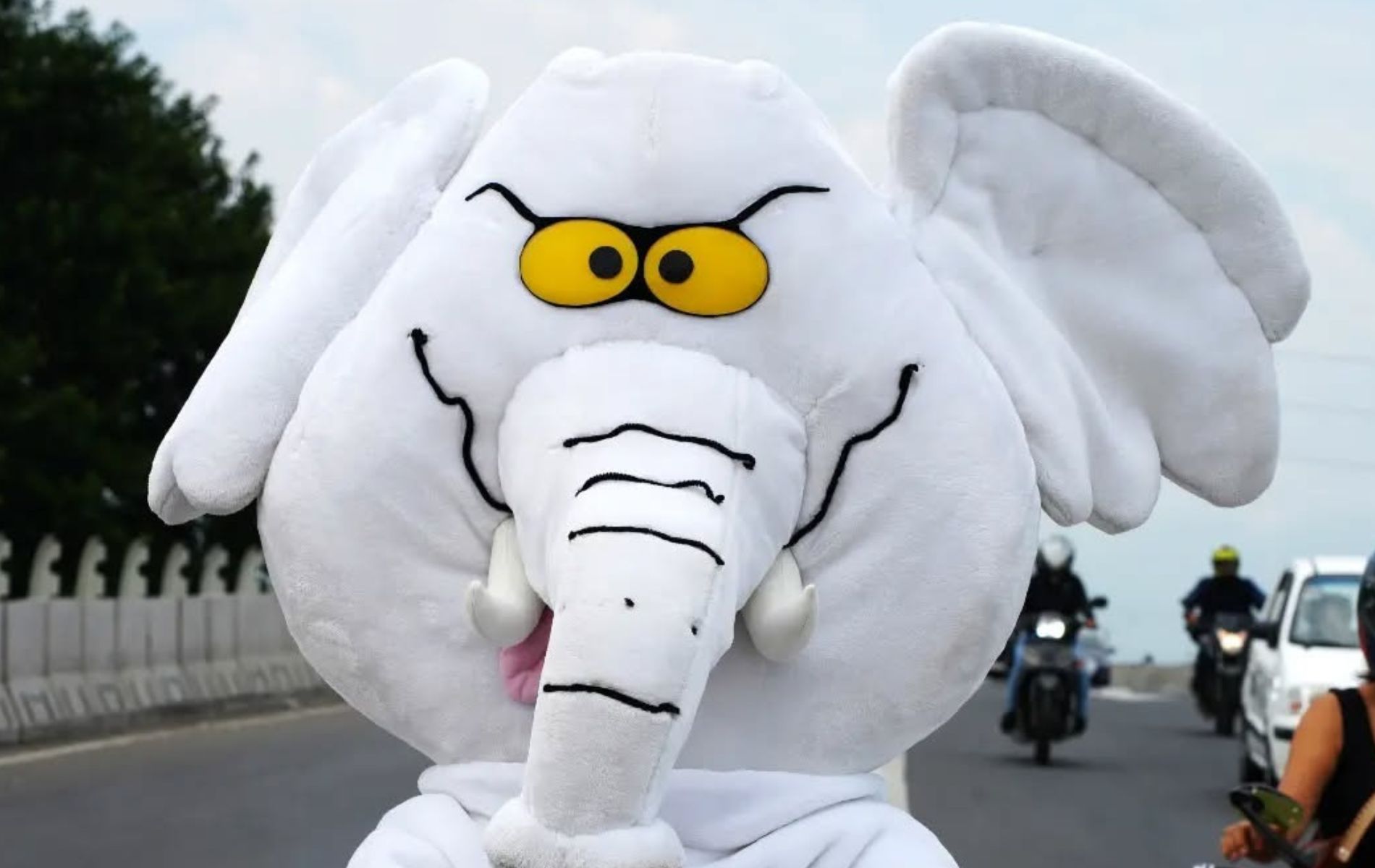 Imagen noticia seccion