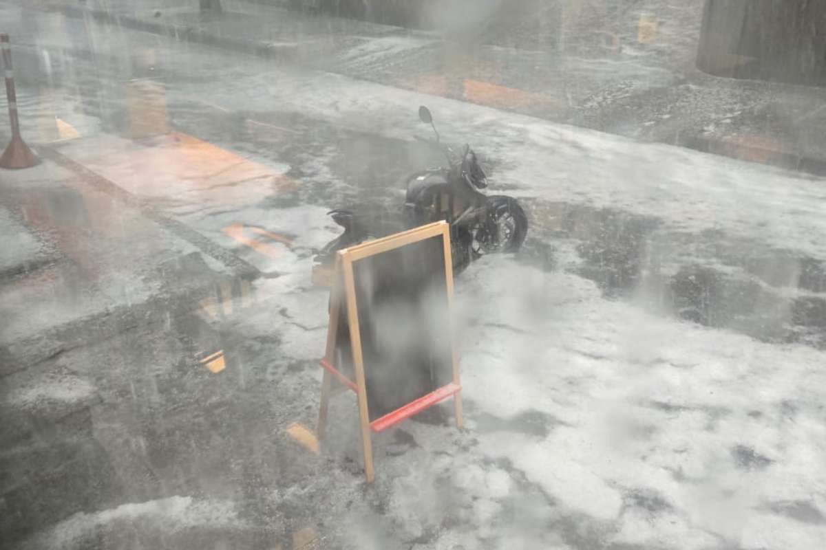 Imagen noticia seccion