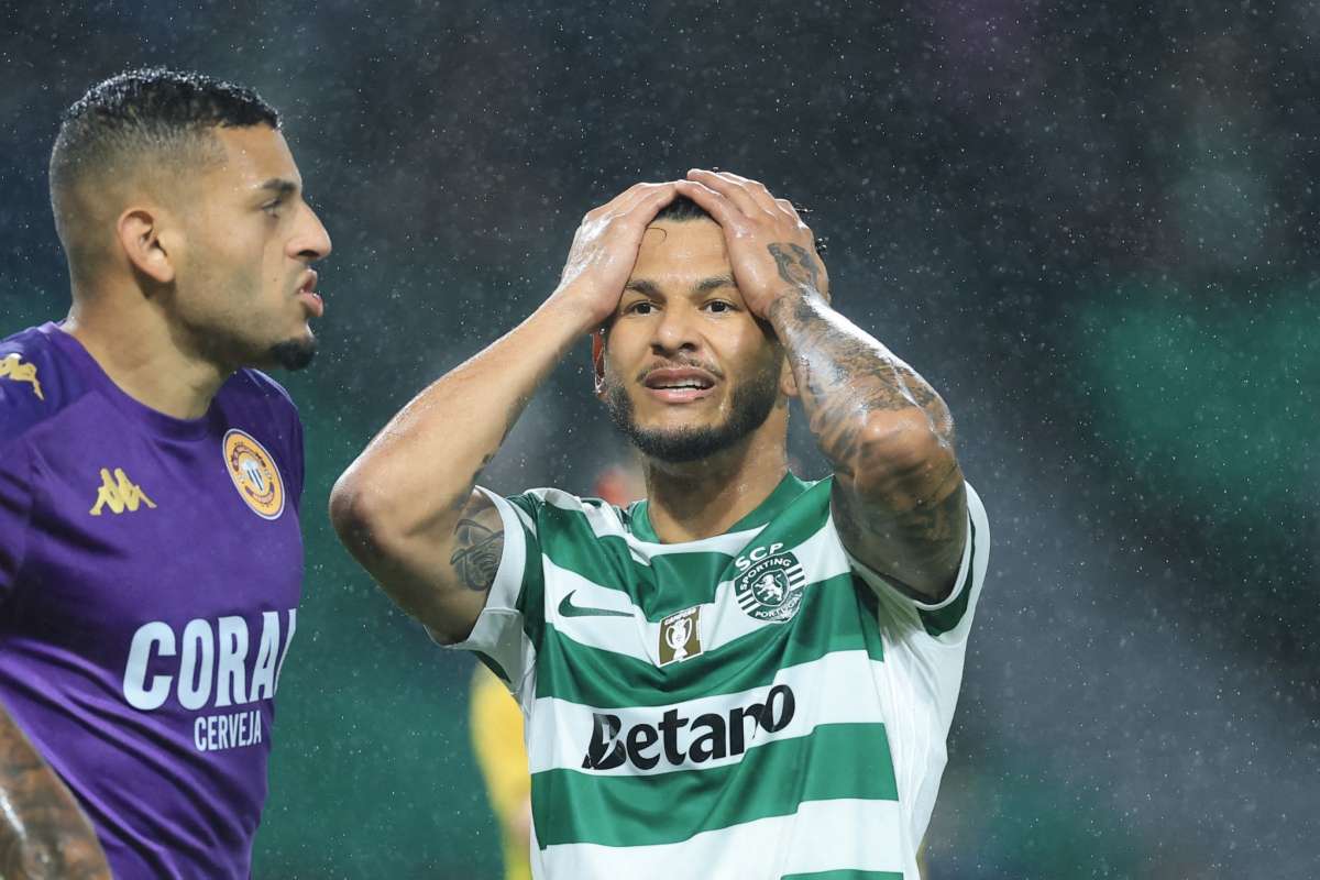 Imagen noticia seccion