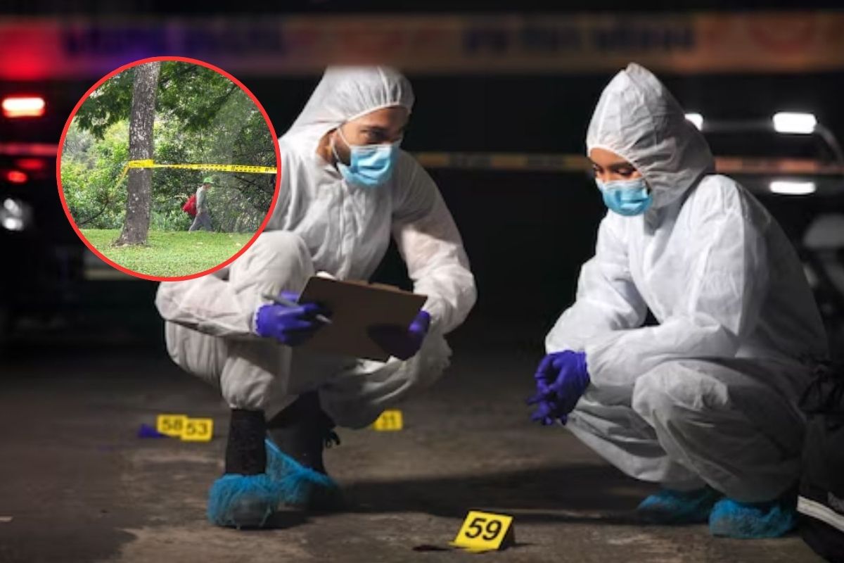 Imagen noticia seccion