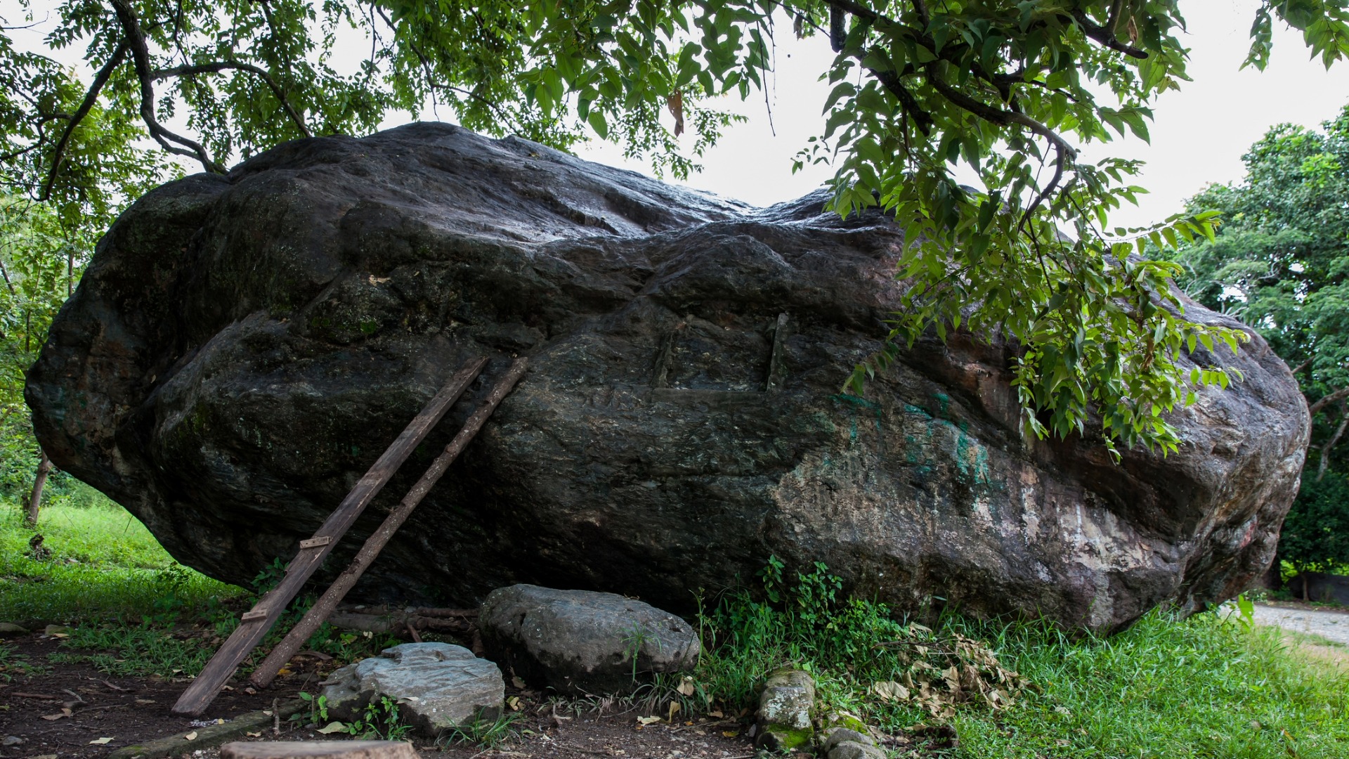 Imagen noticia seccion