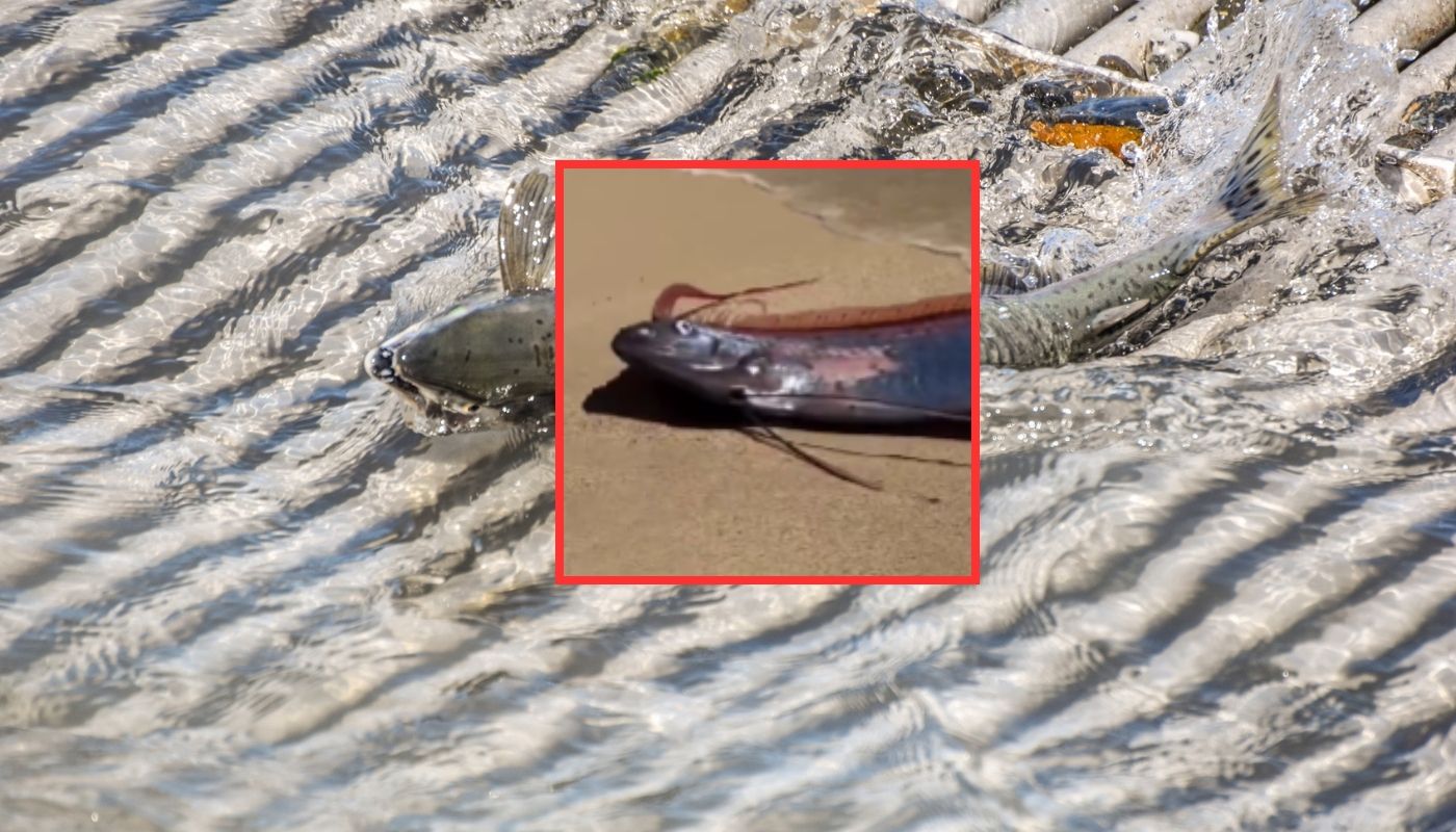 Imagen noticia seccion