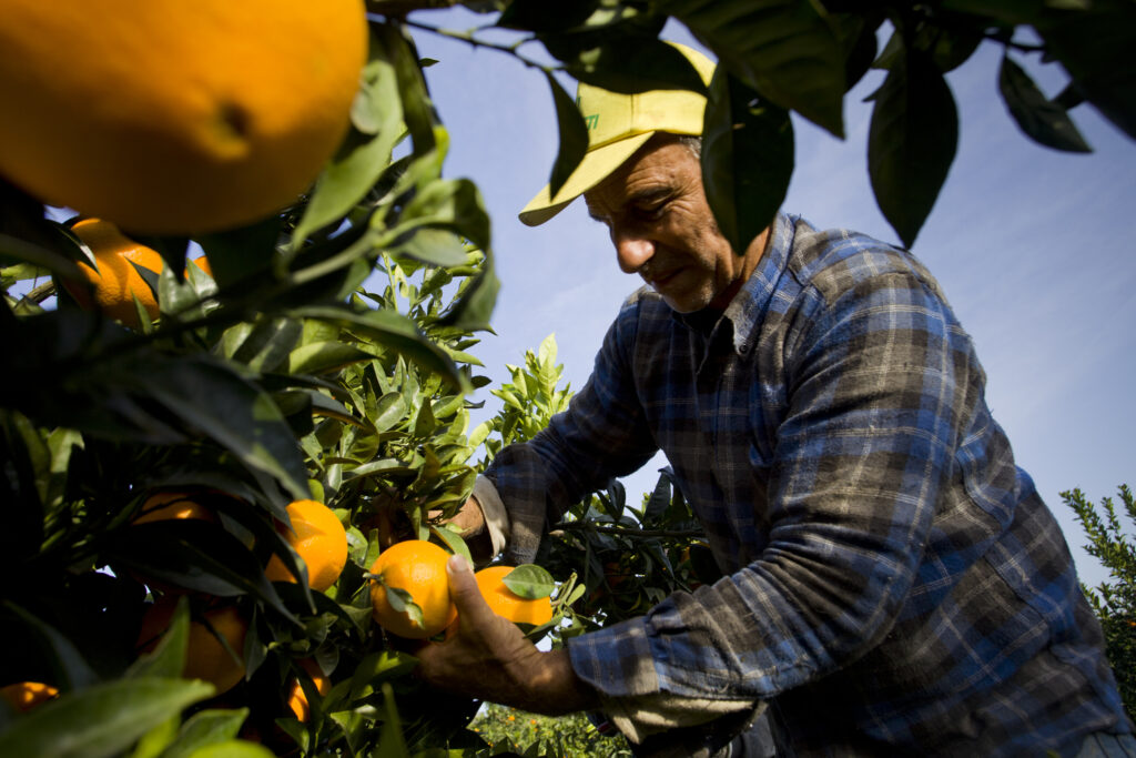 Trabajador Agrícola (AFP)