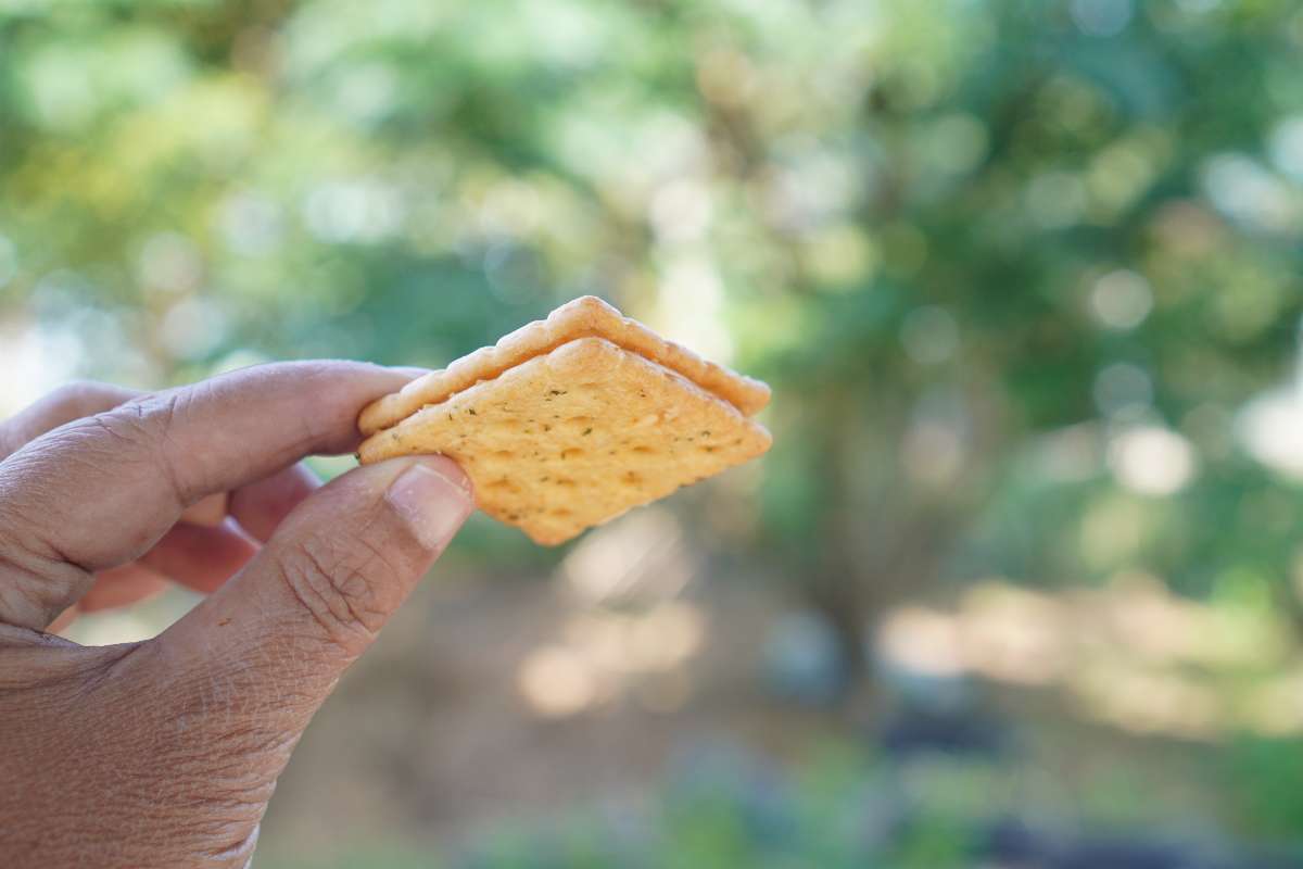 Cambios en el consumo de pasabocas en Colombia en 2026 por nuevos hábitos clave