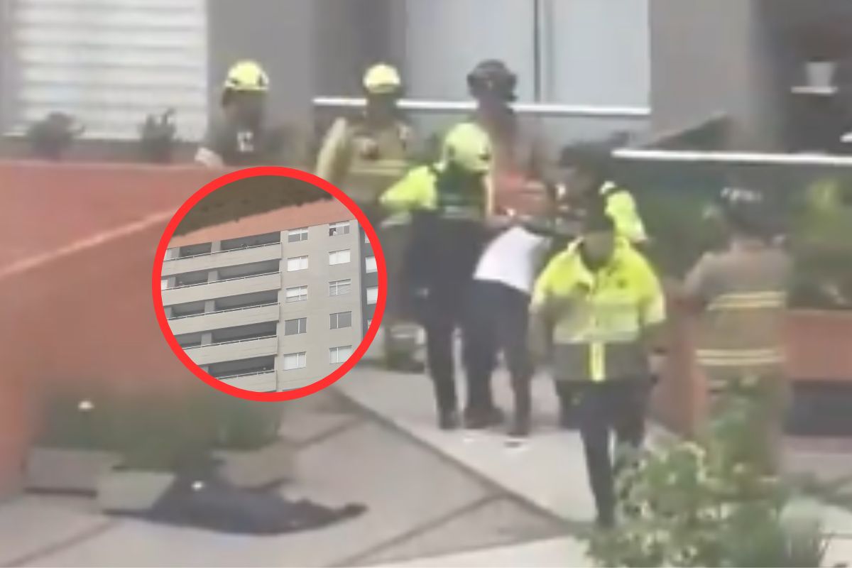 Conmoción en un conjunto residencial de Bogotá este 19 de marzo. Un sujeto identificado como Johan Esteban Velazco Posada arrojó a un perro llamado 'Tonny'