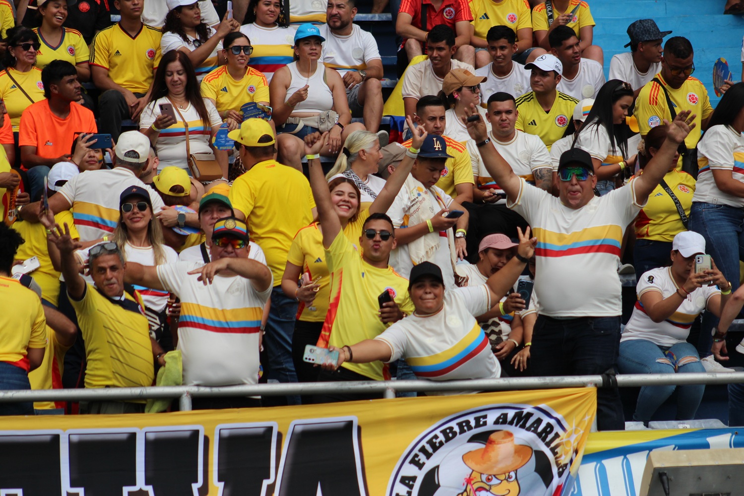 Hinchas Selección Colombia
