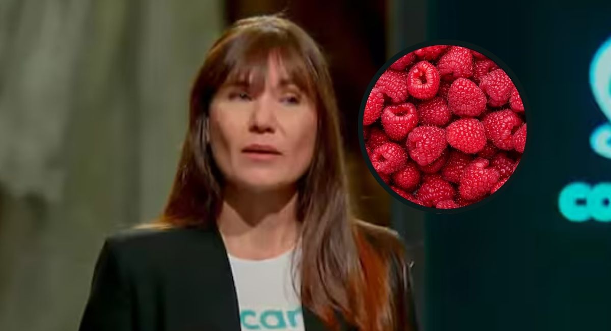 Puede haber cuatro o cinco víctimas: destapan hipótesis en caso de Zulma Guzmán