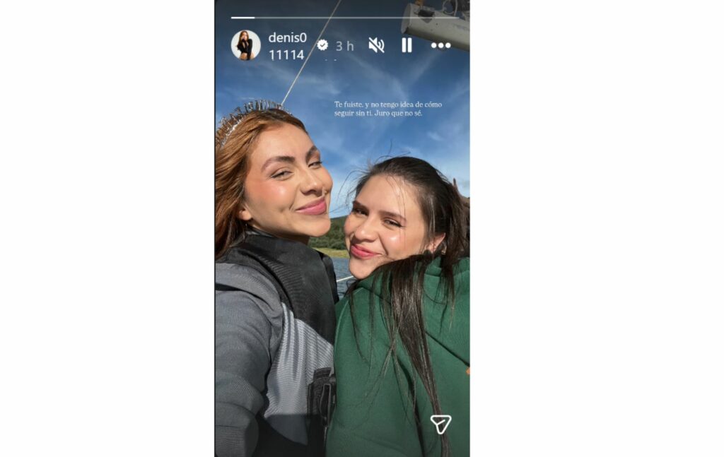 Mnesaje de la hermana de Dylan