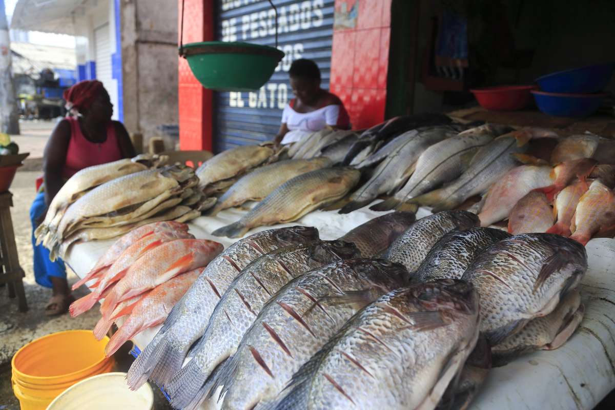 Alerta por precio de pescado en Colombia en Semana Santa 2026: el kilo subió 26%