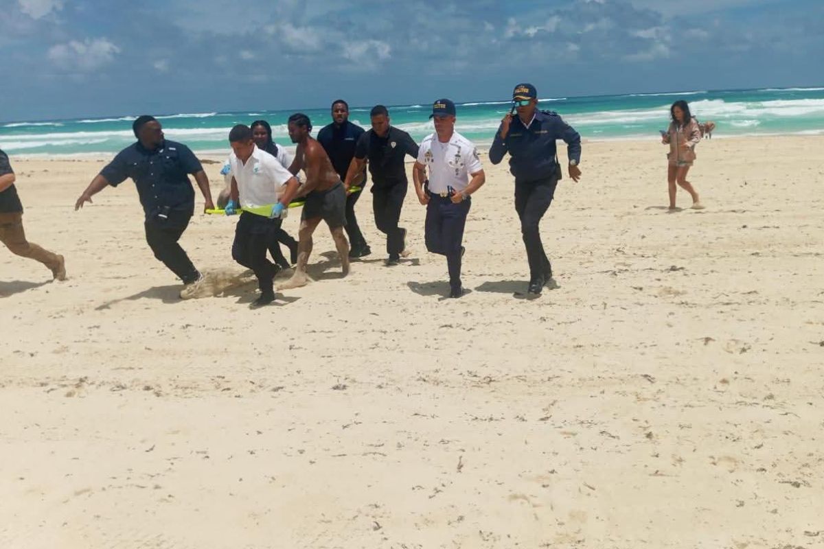 Imagen noticia seccion