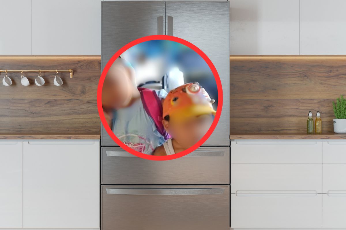 Imagen noticia seccion