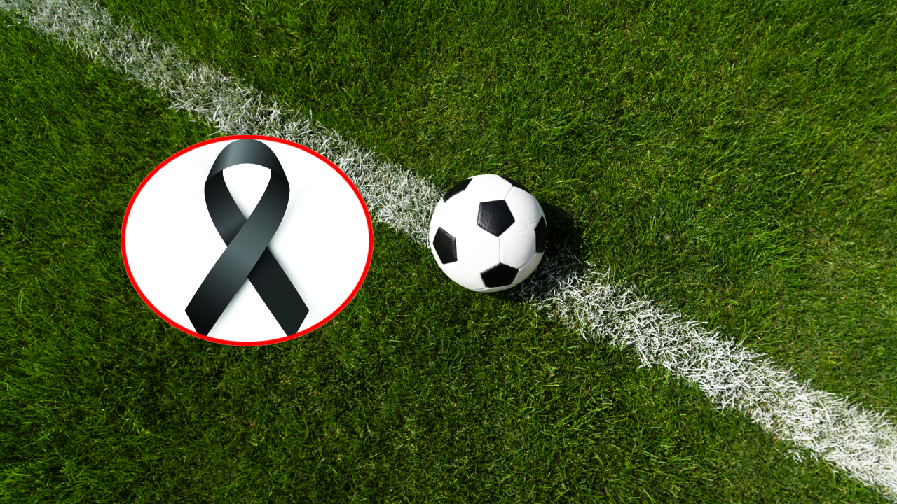 Imagen noticia seccion