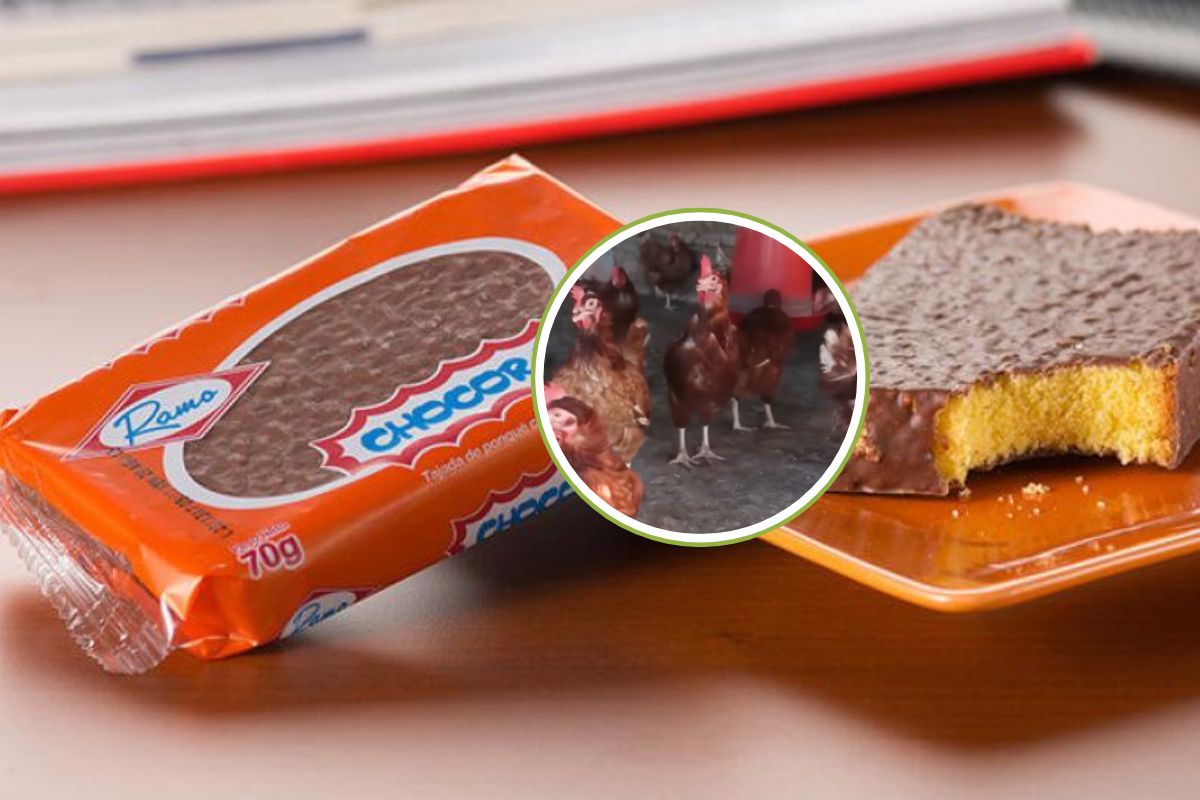 Imagen noticia seccion