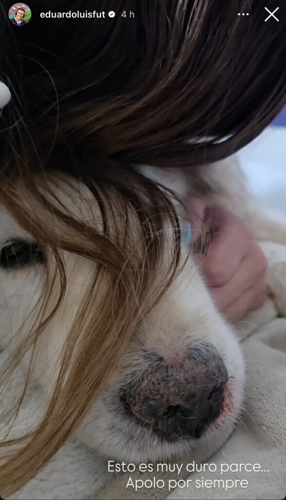 Historia de Eduardo Luis