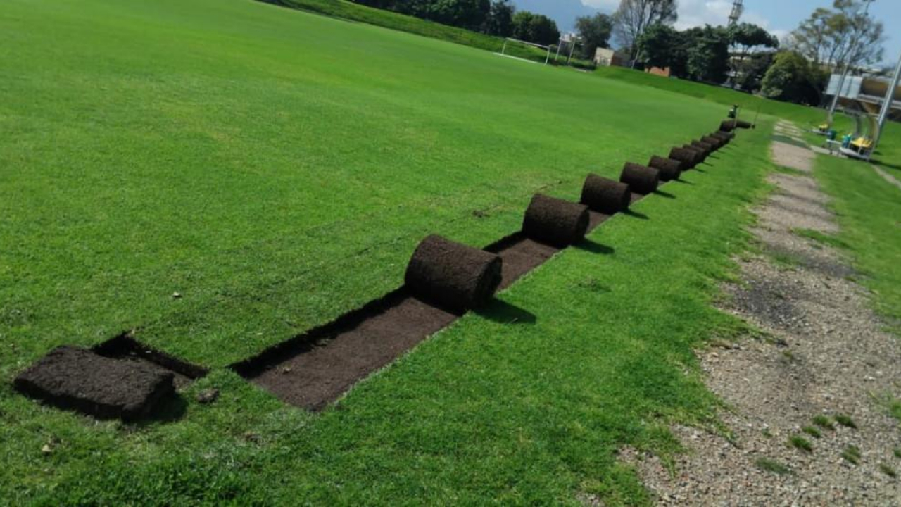 Imagen noticia seccion