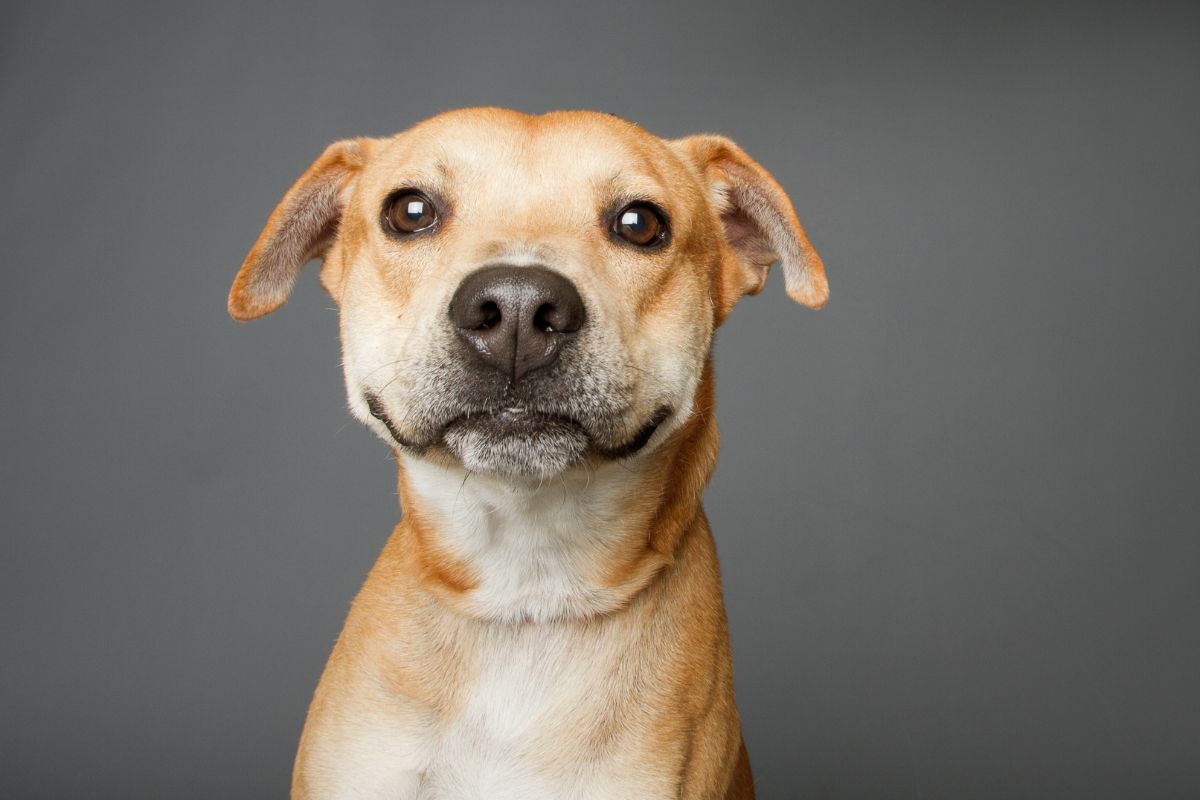 Imagen noticia seccion