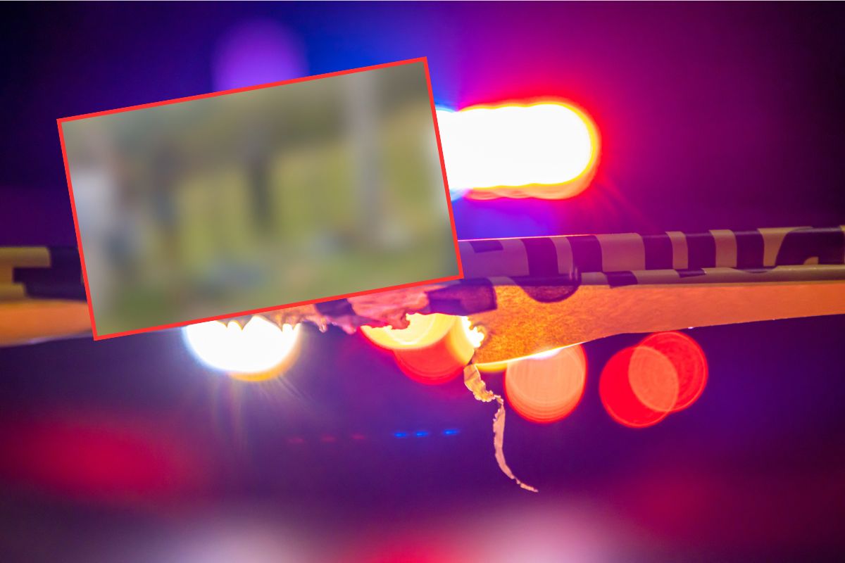 Imagen noticia seccion