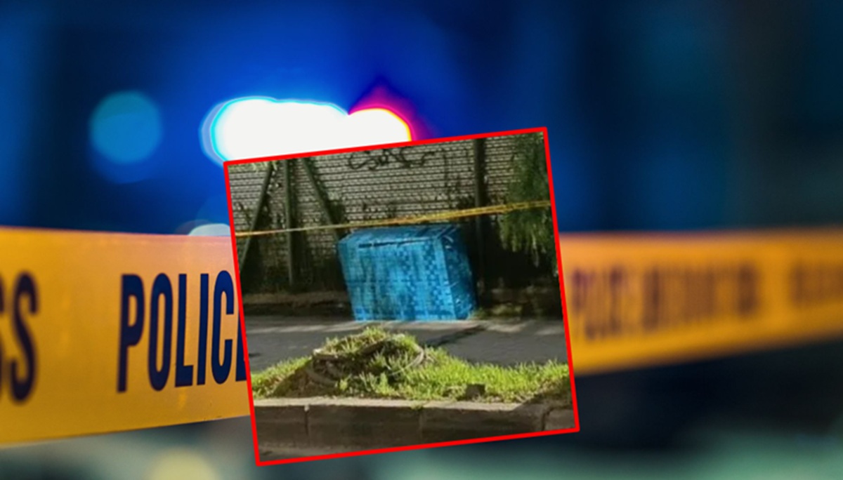 Imagen noticia seccion