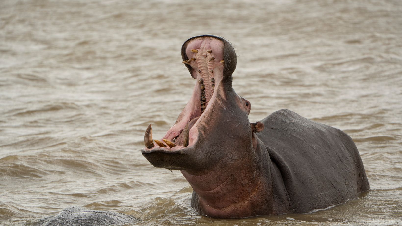 Imagen noticia seccion